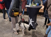 Gelungener 2. Advent bei Herrmann Massivholzhaus