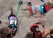 Gelungener 2. Advent bei Herrmann Massivholzhaus