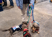 Gelungener 2. Advent bei Herrmann Massivholzhaus