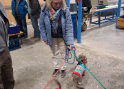 Gelungener 2. Advent bei Herrmann Massivholzhaus