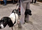 Gelungener 2. Advent bei Herrmann Massivholzhaus