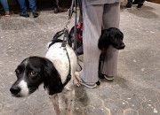 Gelungener 2. Advent bei Herrmann Massivholzhaus