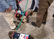 Gelungener 2. Advent bei Herrmann Massivholzhaus
