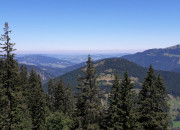 Zimmerer-Azubi macht 3-wöchiges Auslandspraktikum in Vorarlberg