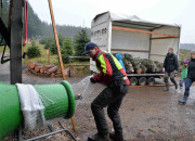 Christbaumschlagen 2015