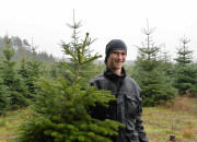 Christbaumschlagen 2015