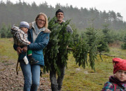 Christbaumschlagen 2015