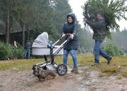 Christbaumschlagen 2015