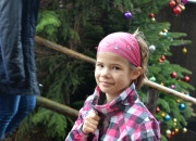 Christbaumschlagen 2015