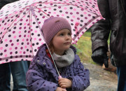 Christbaumschlagen 2015