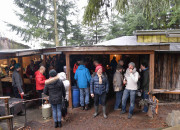 Christbaumschlagen 2015